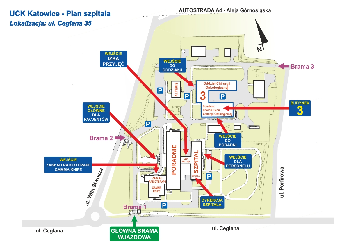 Plan szpitala do pobrania